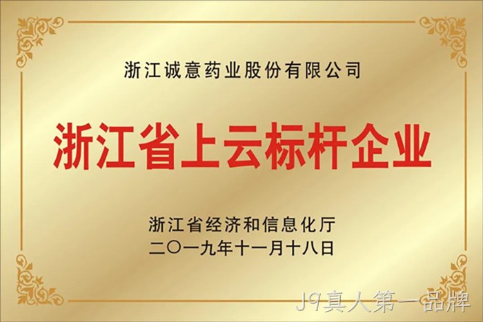 浙江省上云标杆企业
